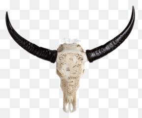 Buffalo Transparent Head Picture - Water Buffalo Skull Png Emoji,Buffalo Emoji