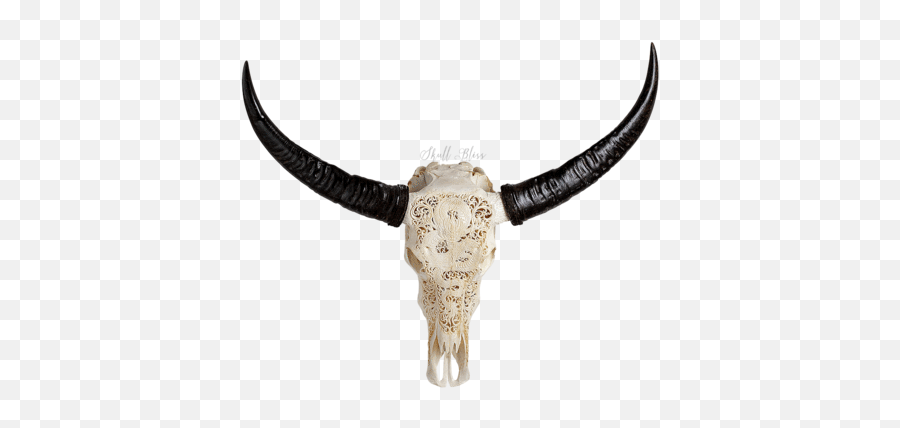 Buffalo Transparent Head Picture - Water Buffalo Skull Png Emoji,Buffalo Emoji