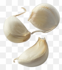Garlic Garlic Clove Transparent U0026 Png Clipart Free Download - Garlic Clove Transparent Background Emoji,Garlic Emoji