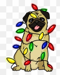Dog Christmas Sticker By Livia Farkas - Animals Transparent Gif Emoji