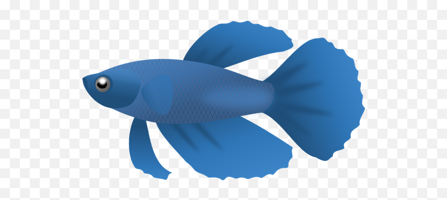 Boy Fishing Clipart 6 Big Fish Clip Art Free Vector - Betta Fish Clipart Free Emoji,Fishing Emoji