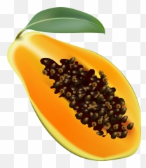 Fruit Clipart Papaya Fruit Papaya - Transparent Background Papaya Clipart Emoji,Papaya Emoji