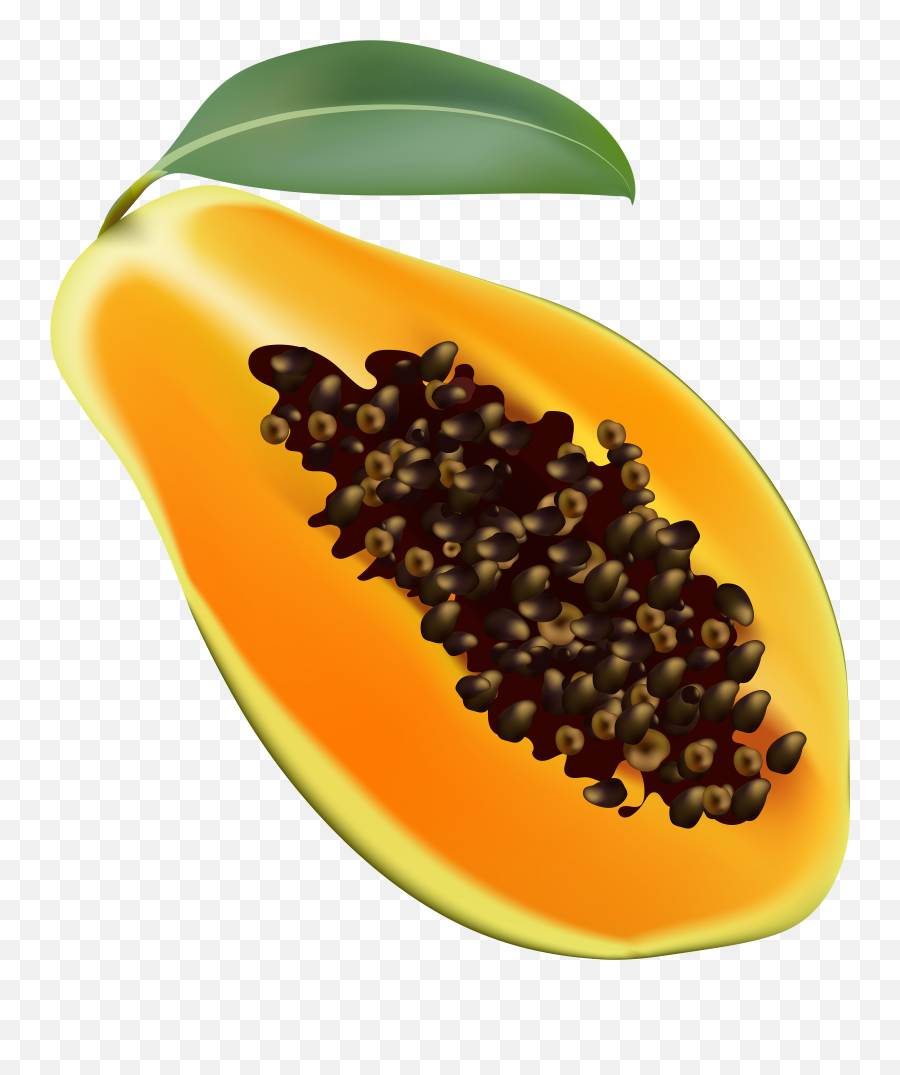 Fruit Clipart Papaya Fruit Papaya - Transparent Background Papaya Clipart Emoji,Papaya Emoji