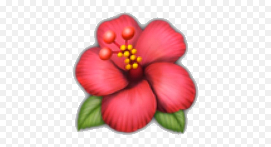 Flower Emoji Phone Like4like F4f Comment Bell Notificat - Hibiscus Flower Emoji Iphone,Bell Emoji Png