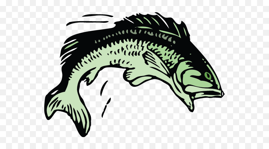 Download Hd Trout Fish - Group 11 Rugby League Transparent Clip Art Emoji,Rugby Emoji