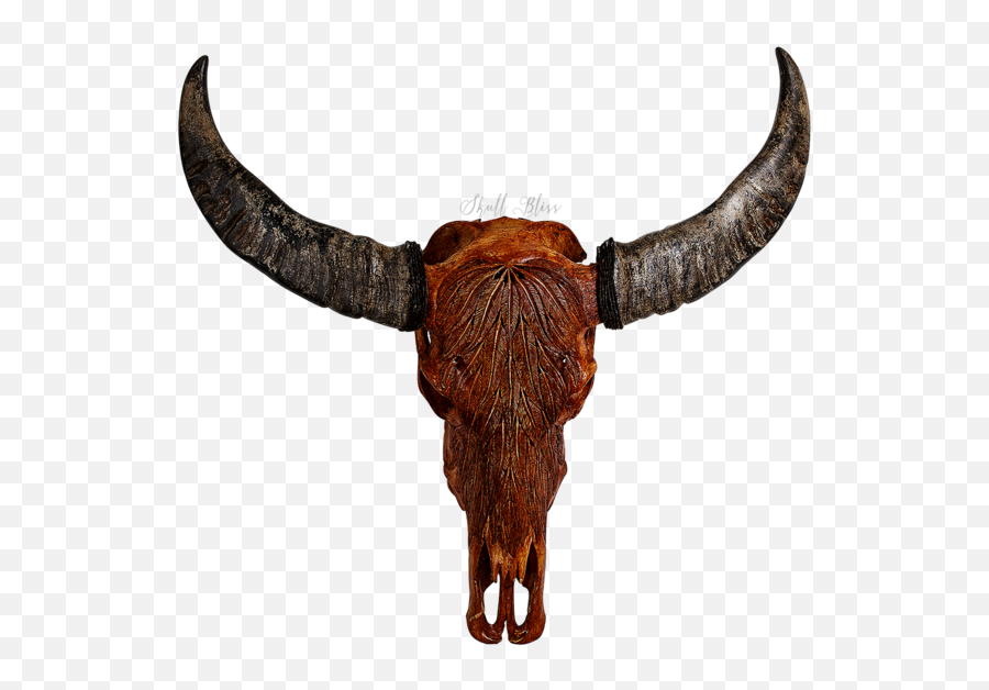 Cattle Horn Animal Skulls Bison - Horn Emoji,Bison Emoji