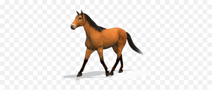 Horses Stickers For Android Ios - Horse Animated Gif Emoji,Horse Emoticons