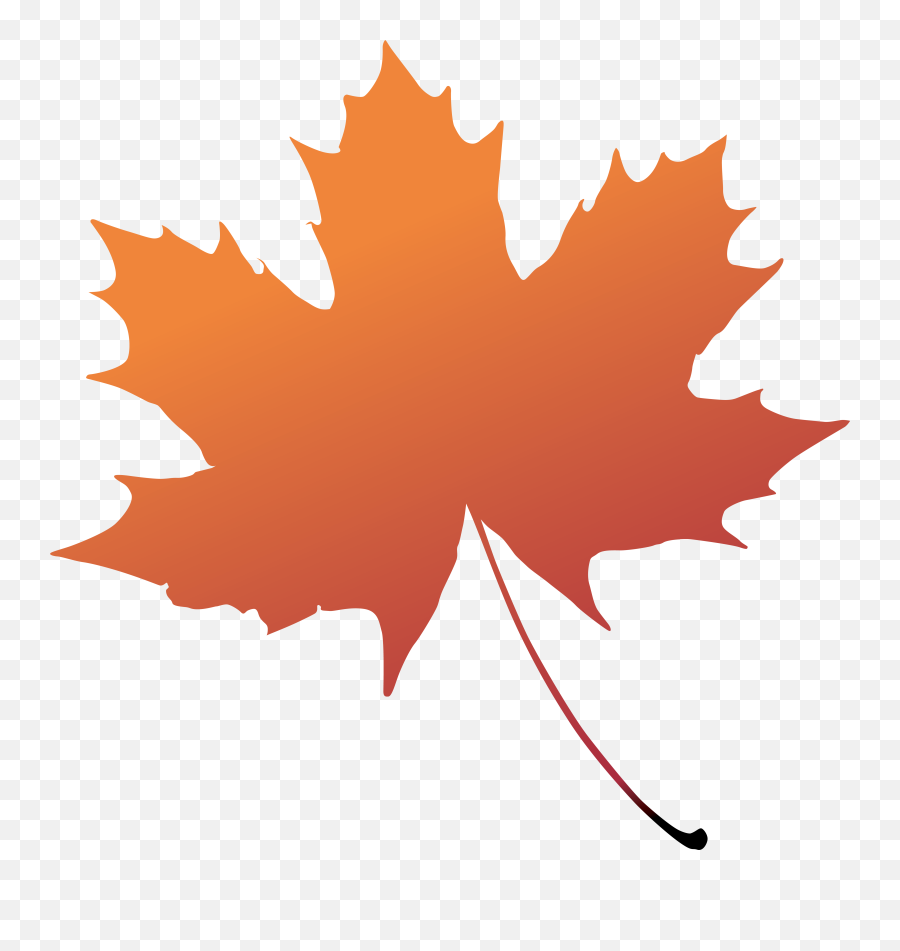 Maple Leaf Boxelder Maple Tree Plant - Transparent Background Maple Leaf Png Emoji,Maple Leaf Emoji