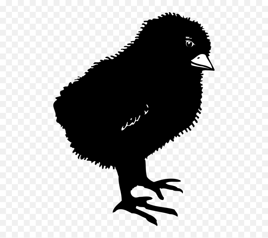 Baby Chick Silhouette Png Png Download - Black Baby Chicken Clipart Emoji,Baby Chicken Emoji