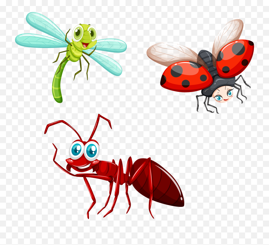 Fly Clip Art - Insects Png Cartoon Emoji,Ant Emoji