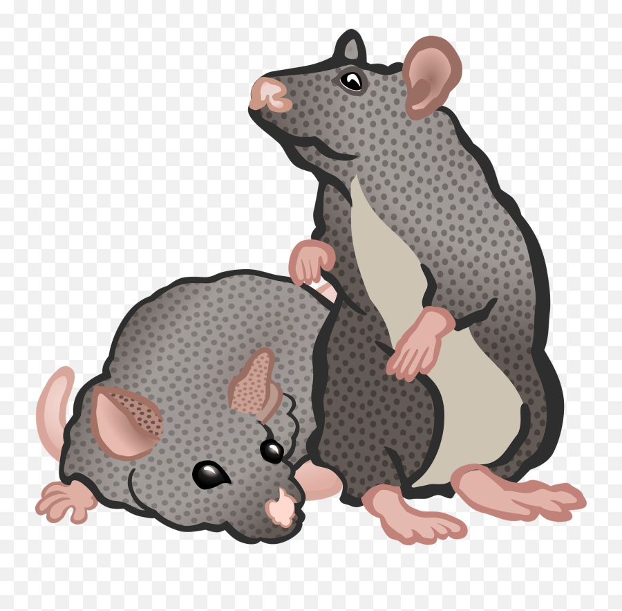 Two Mice In Color Clipart - Clipart Rats And Mice Emoji,Mice Emoji