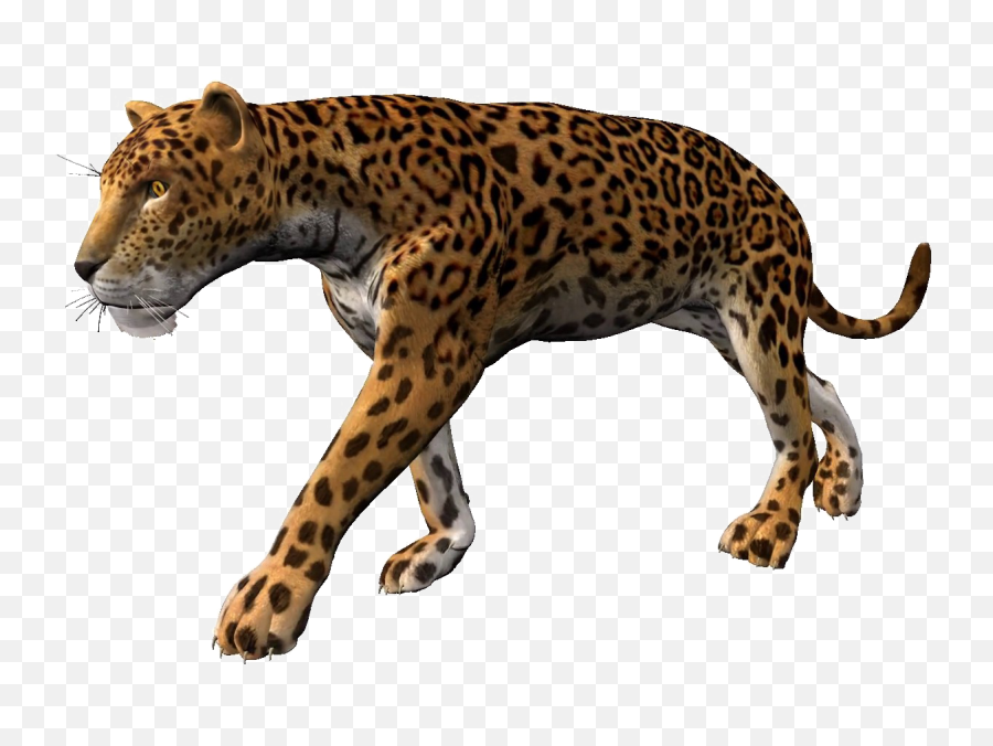 Leopard Transparent Walking Picture - Leopard Animation Emoji,Leopard Emoji