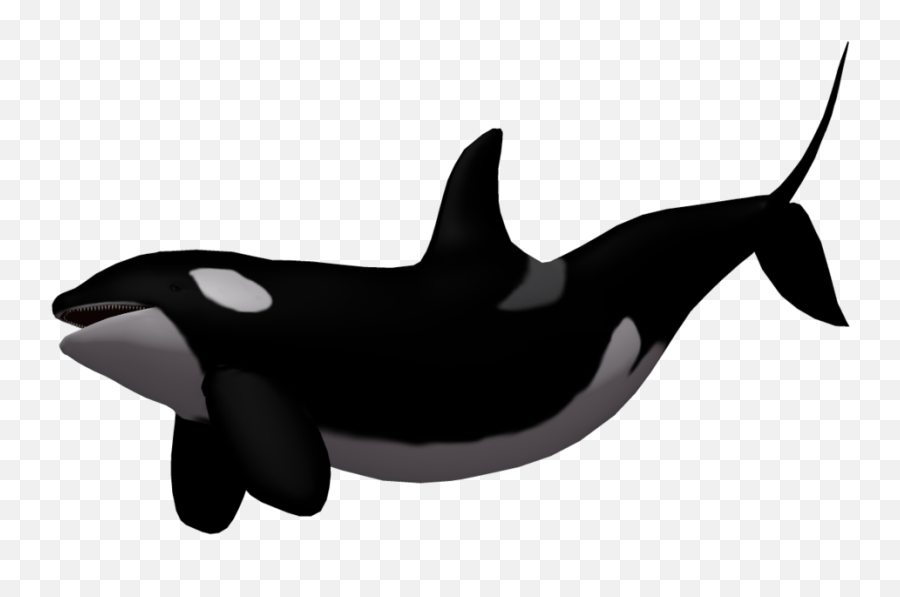 Samurai Whale Transparent Png Clipart - Killer Whale Transparent Background Emoji,Whale Emoticons