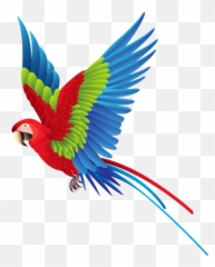 Colourful Parrot Png Clipart Best Web Clipart To - Colorful Flying Birds Png Emoji,Parrot Emoji