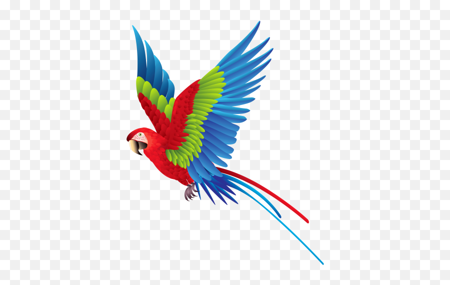 Colourful Parrot Png Clipart Best Web Clipart To - Colorful Flying Birds Png Emoji,Parrot Emoji
