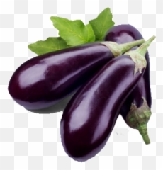 Eggplant Png And Vectors For Free Download - Eggplant Png Transparent Emoji,Aubergine Emoji