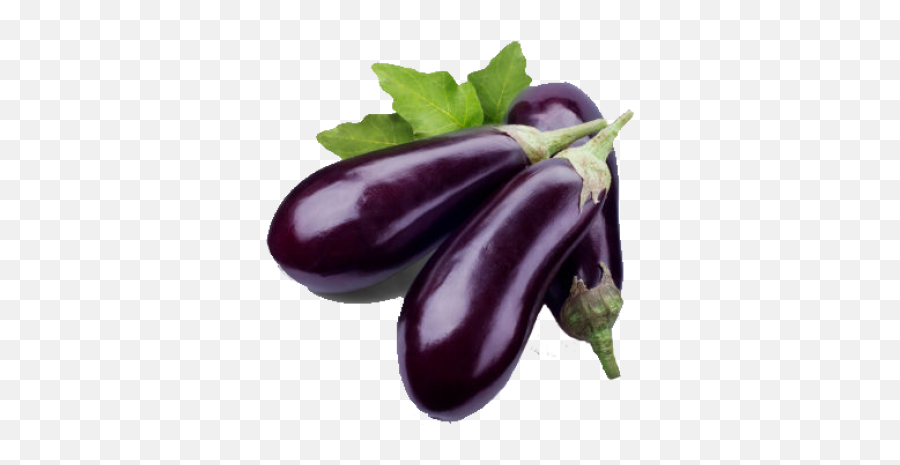 Eggplant Png And Vectors For Free Download - Eggplant Png Transparent Emoji,Aubergine Emoji