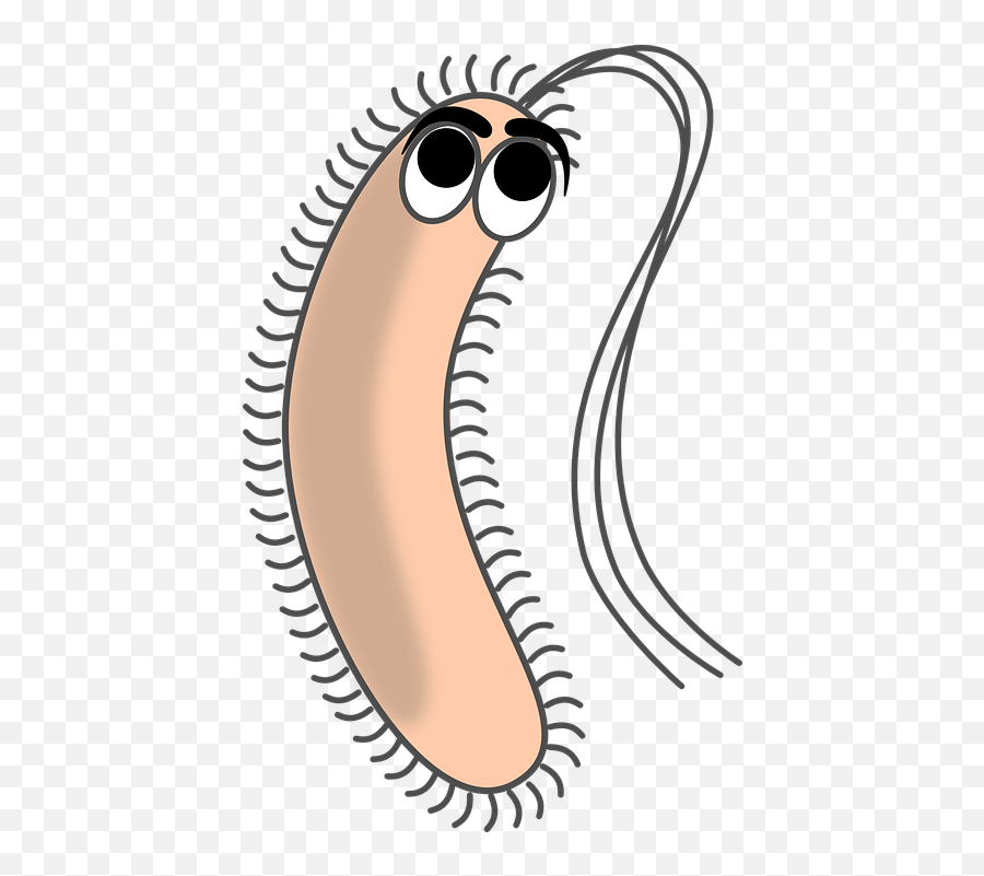 Bacteria Png Images Free Download - Bacteria Cartoon Emoji,Centipede Emoji