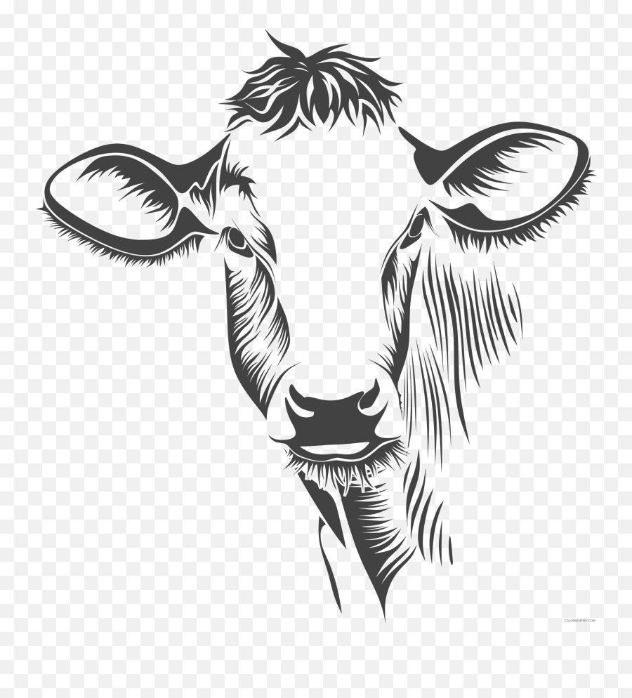 Black And White Cow Coloring Pages Detailed Cow Line Art - Cow Head Clip Art Black And White Emoji,Cow And Man Emoji
