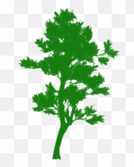 Tall Tree Silhouette - Green Trees Png Emoji