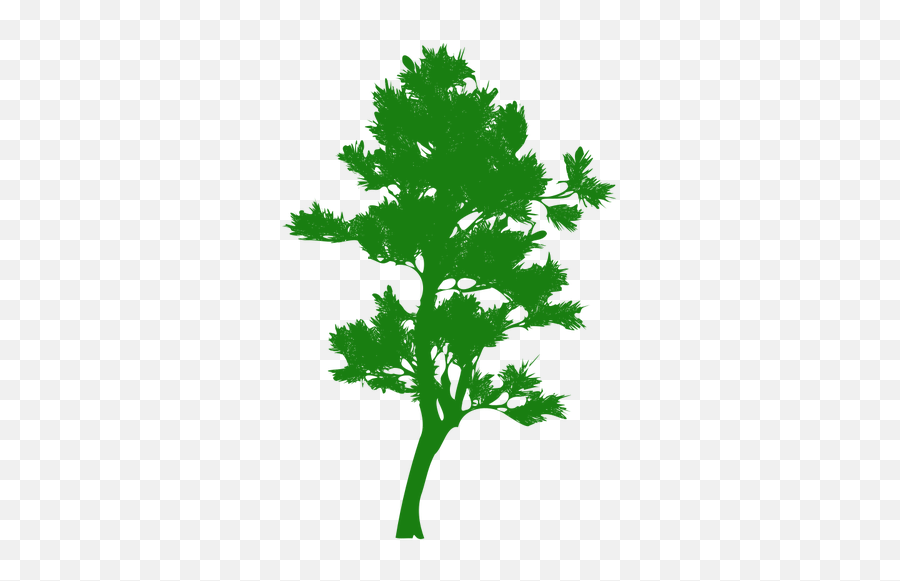 Tall Tree Silhouette - Green Trees Silhouette Png Emoji,New Mexico Emojis