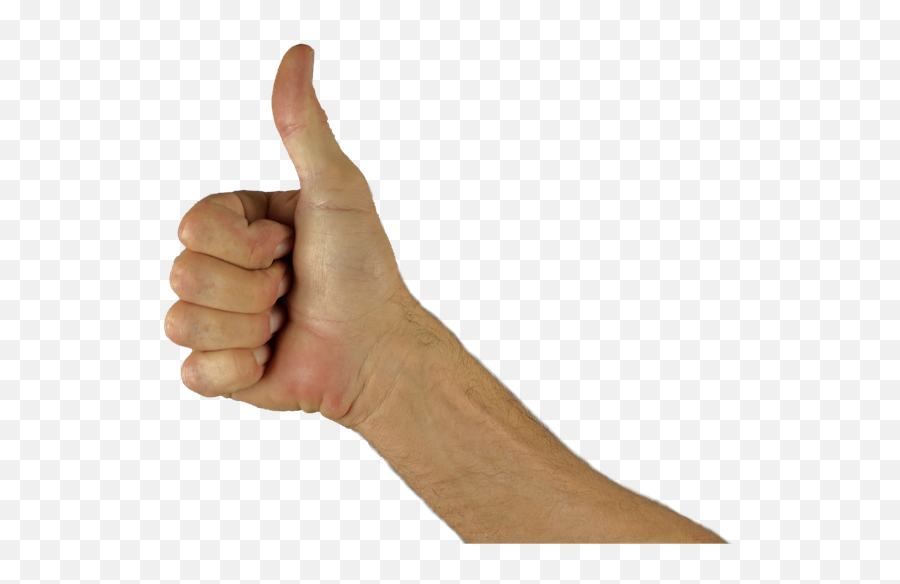 Free Photo Hand Excellent Thumbs Up Thumb Positive Great - Thumb Up Hand Png Emoji,Ok Emoji