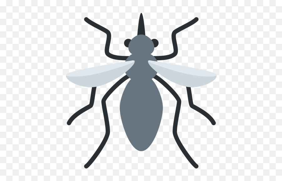 Mosquito Emoji Meaning With Pictures - Mosca Emoji,Spider Emoji