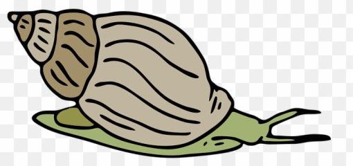 Free Slow Snail Illustrations - Snail Clipart Emoji,Snail Emoji