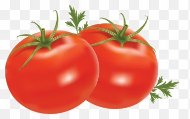 Red Tomatoes Png Image - Tomatoes Clipart Png Emoji,Tomato Emoji