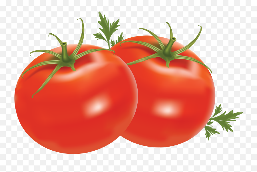Red Tomatoes Png Image - Tomatoes Clipart Png Emoji,Tomato Emoji