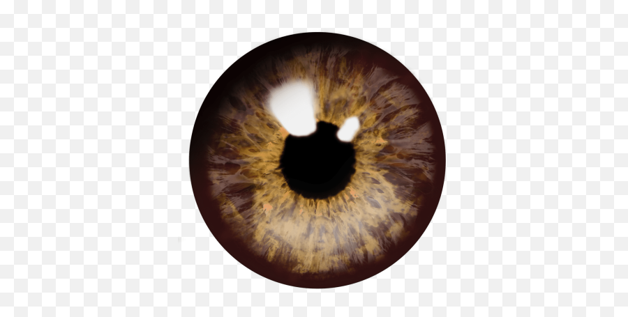 Eyes Png And Vectors For Free Download - Dlpngcom Brown Eyes Lens Png Emoji,Single Eye Emoji