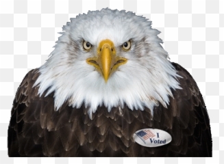 Index Of Graphicssmileys - Avatarspatriotic Birds On Darh Background Emoji,Patriotic Emoticons