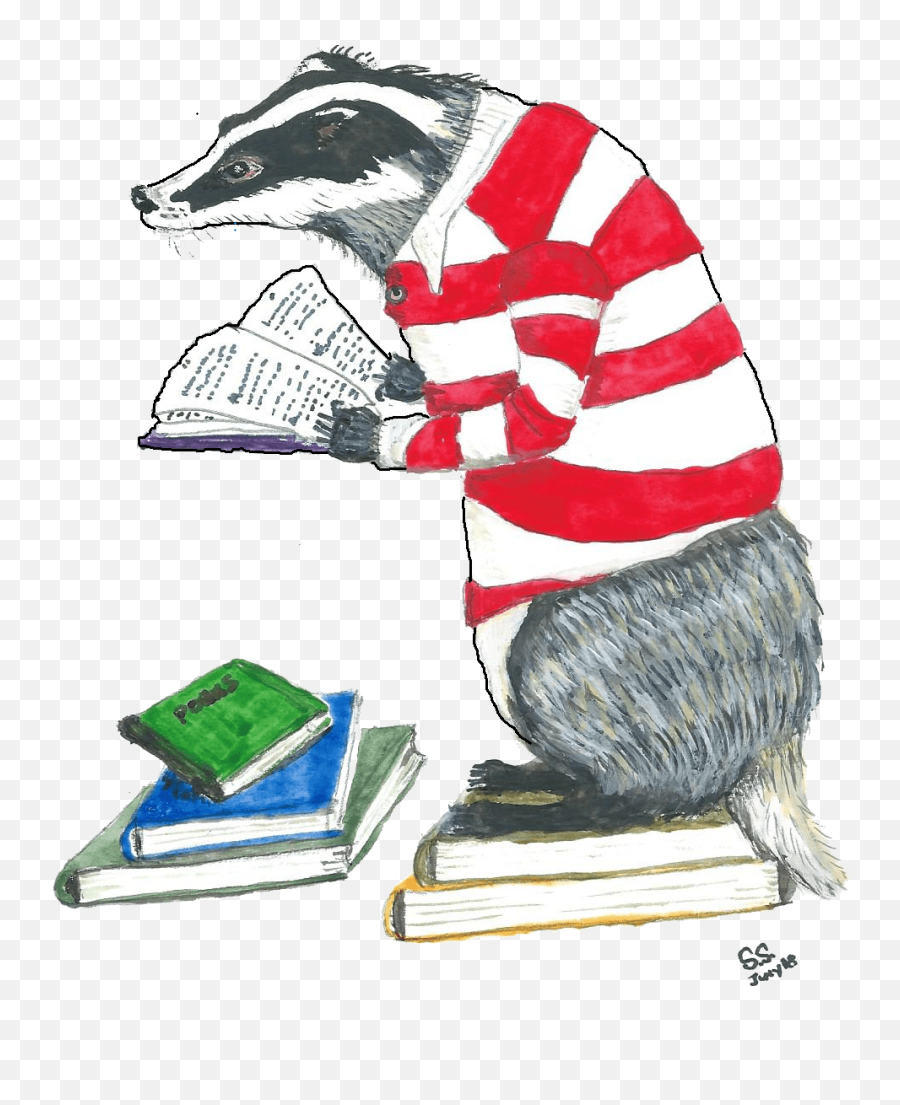 The Stripey Badger Grassington - Sketch Emoji,Badger Emoticon