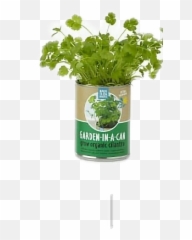 Polyvore Gardeninacan Plant Can Green - Dancing Basil Leaf Gif Emoji,Celery Emoji