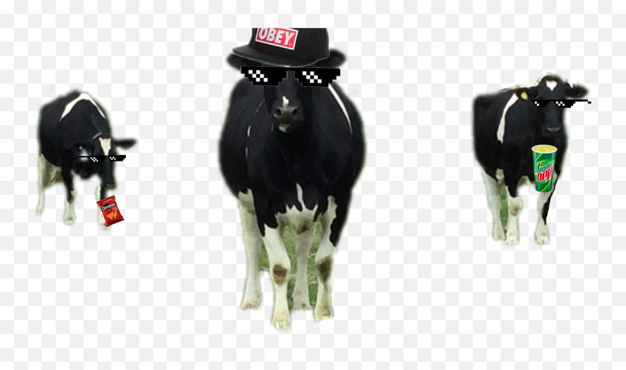 Mlg Mlg Cow Mtndew Cool Doritos Sticker By Redflare11 - Dairy Cow Emoji,Cow Man Emoji