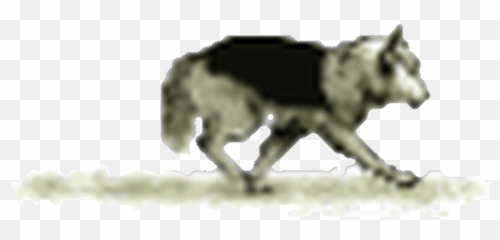 Top Husky Runs Stickers For Android - Adaptations For Dogs Ppt Emoji,Husky Emoji