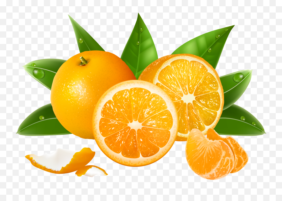 Lemon Clipart Bitter Food Lemon Bitter Food Transparent - Transparent Background Oranges Png Emoji,Grapefruit Emoji