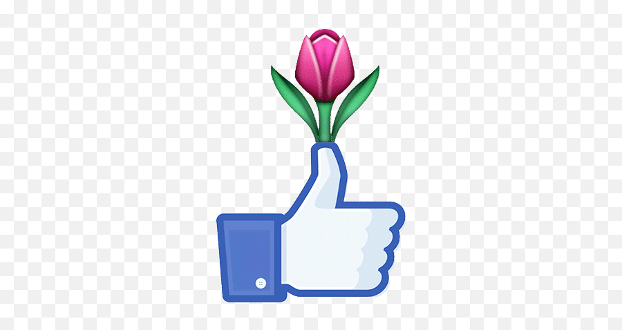 Jess Mac - Facebook 5 Star Review Emoji,Flower Emoji Facebook