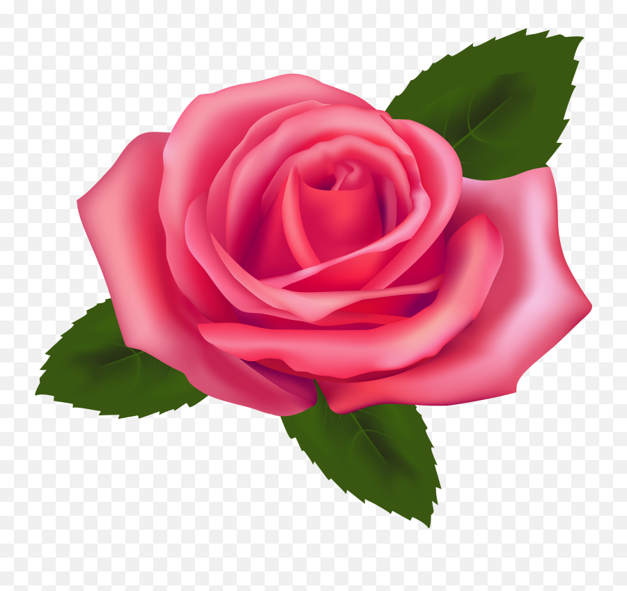 Emoji Clipart Rose Emoji Rose Transparent Free For Download - Transparent Background Pink Rose Clipart,Red Rose Emoji