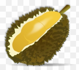 Durian Fruit Food Durio Malvaceae - Icon Png Emoji
