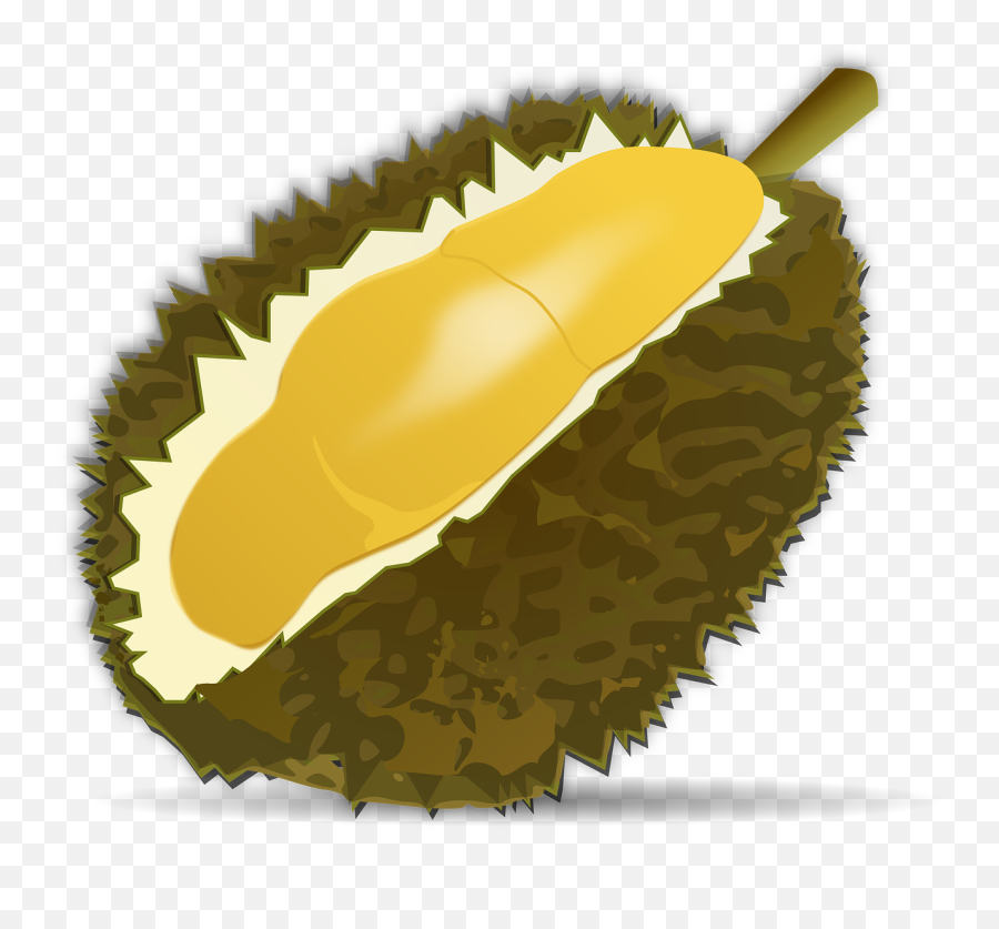 Durian Fruit Fruit Food Durio Malvaceae - Durian Icon Png Emoji,Drink Emoticons
