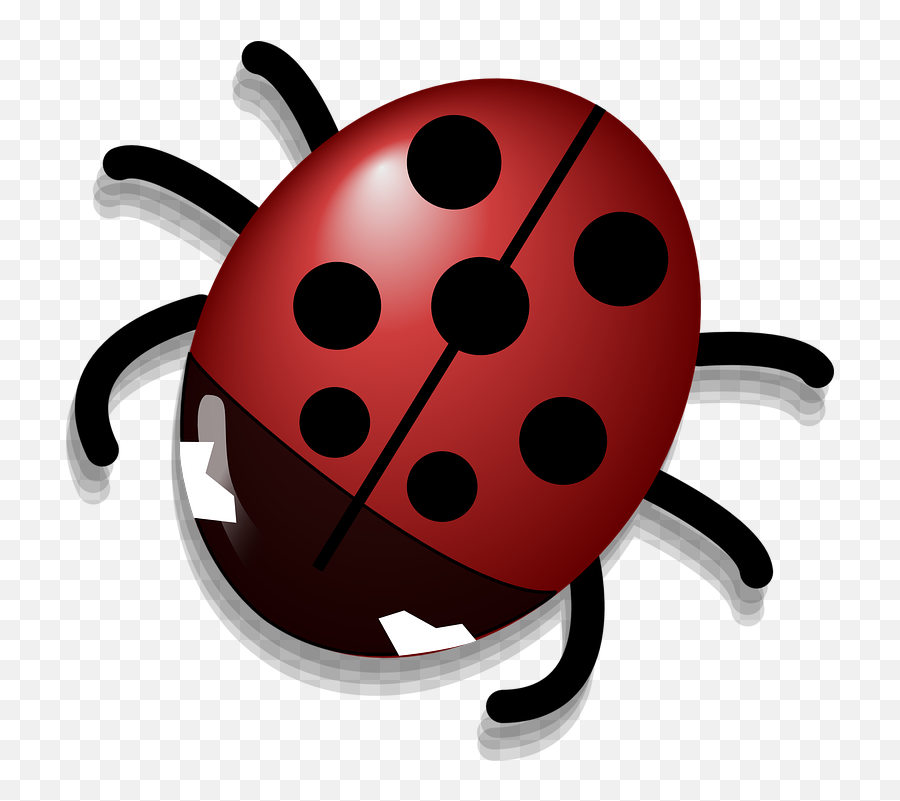 Ladybug Ladybird Insect - Ladybug Clipart Emoji,Honey Emoji