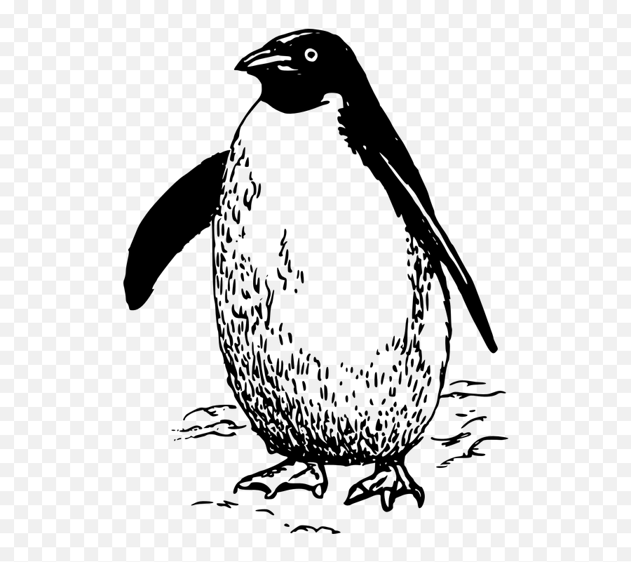 Free Arctic Penguin Vectors - Penguin Clip Art Black And White Emoji,Syringe Emoji