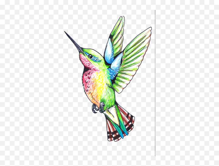 Free Png Images - Hummingbird Art Png Transparent Emoji,Hummingbird Emoticon