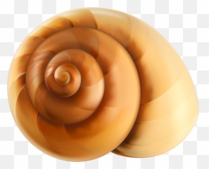Sea Snail Shell Clipart - Snail Shell Clipart Emoji,Snail Emoji