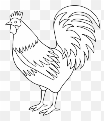 Rooster Coloring Page Free Clip Art 2 - Drawing Rooster Black And White Emoji,Rooster Emoji