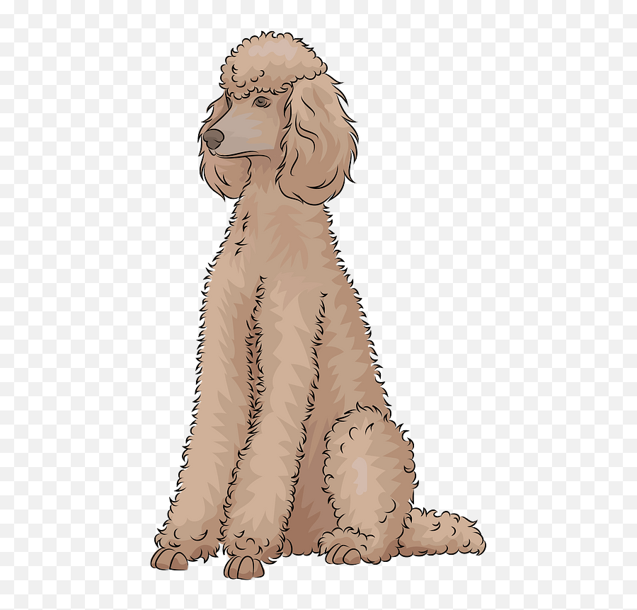 Standard Poodle Clipart - Standard Poodle Clipart Emoji,Poodle Emoji