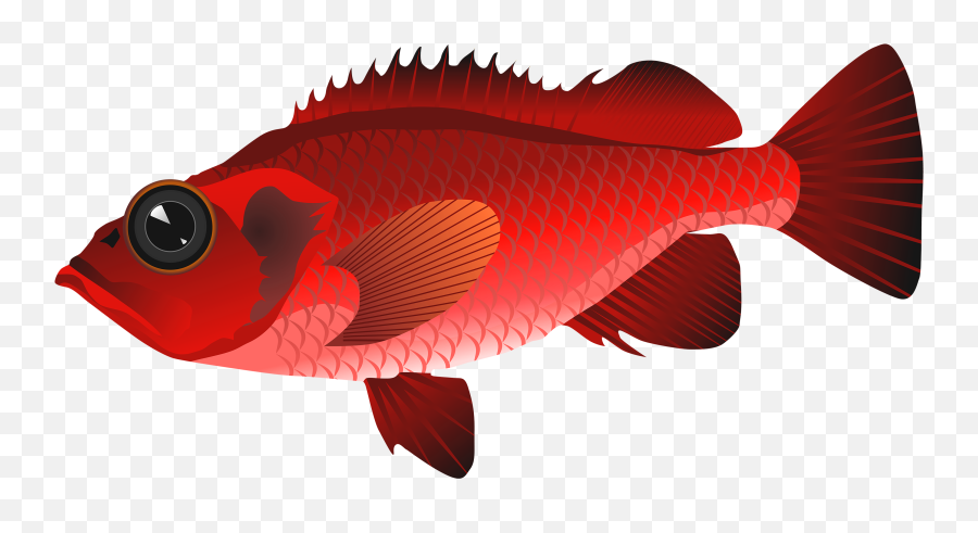 Emoji Clipart Fish Emoji Fish Transparent Free For Download - Red Fish Clipart Transparent,Emoji Fish Net