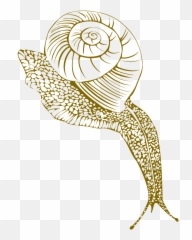 Snail Conch Shell Moist Corner Free - Portable Network Graphics Emoji,Conch Shell Emoji