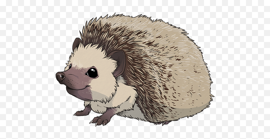 Hedgehog Clipart Transparent Background - Hedgehog Transparent Emoji,Hedgehog Emoji